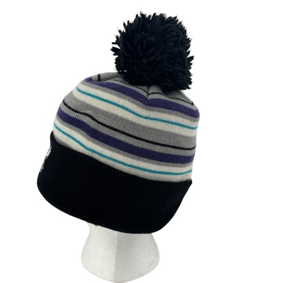 NBA Charlotte Hornets Knit Beanie Pom Pom Winter Hat Adult One Size - Picture 4 of 8